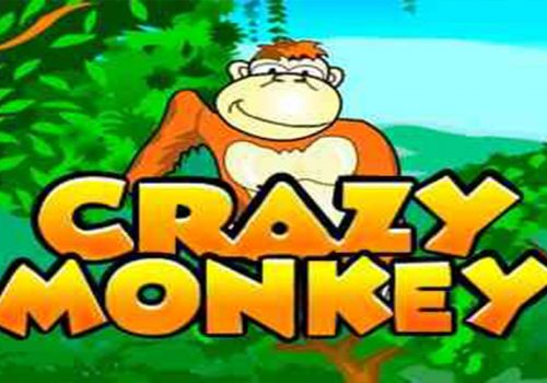 Обзор игрового автомата Crazy monkey